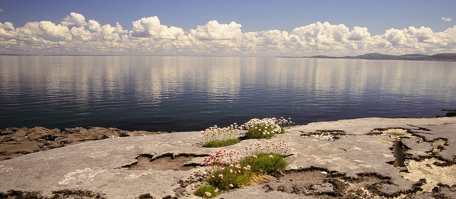 The Burren